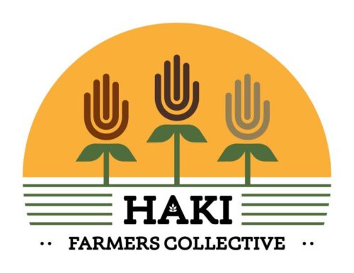 Haki Logo 2